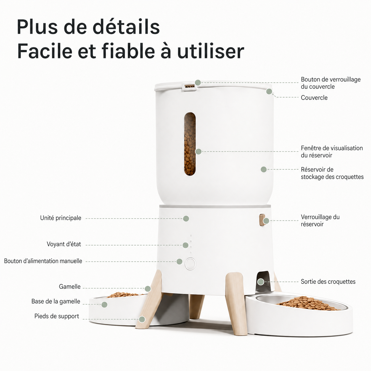 Distributeur Automatique De Nourriture Pour Animaux De Compagnie