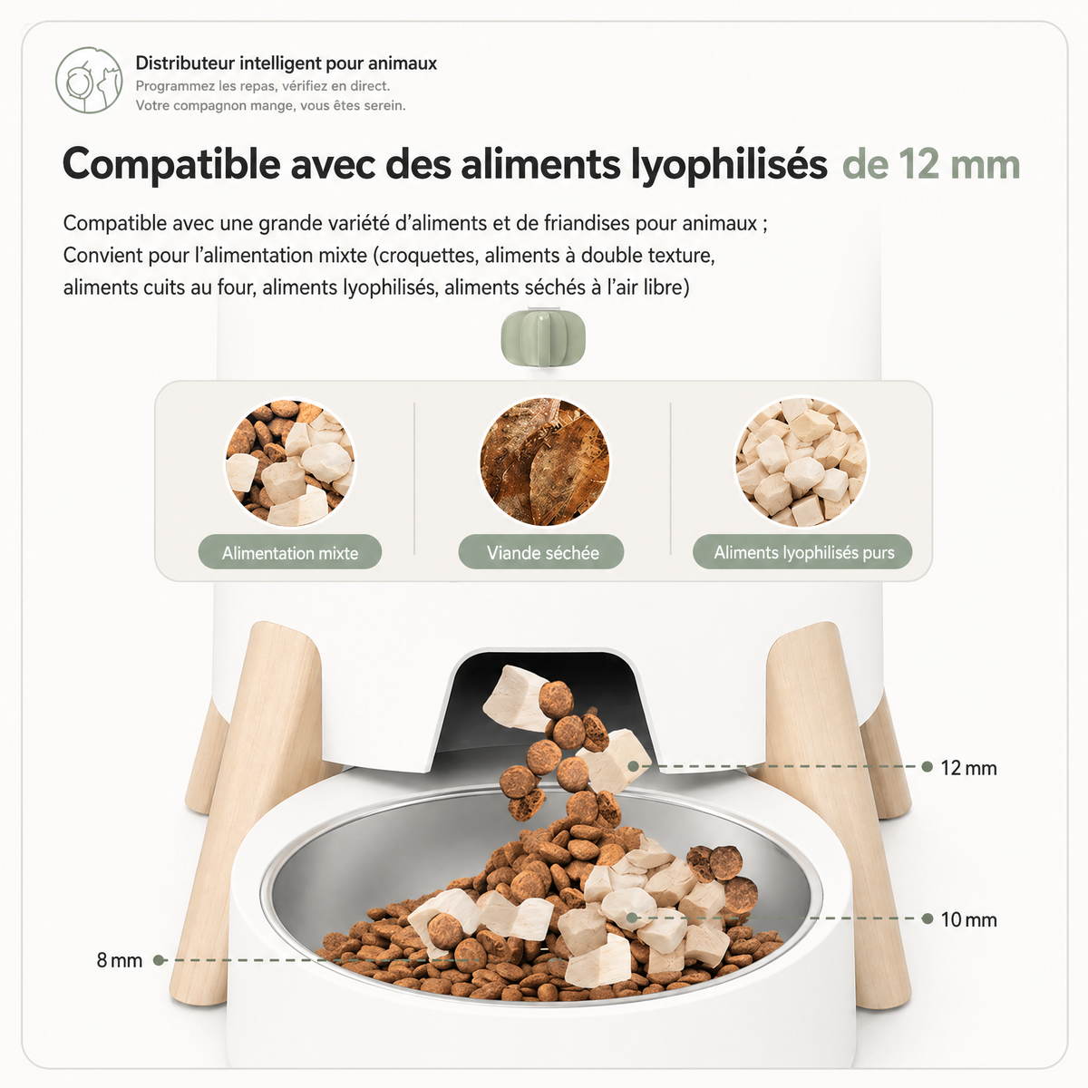 Distributeur Automatique De Nourriture Pour Animaux De Compagnie