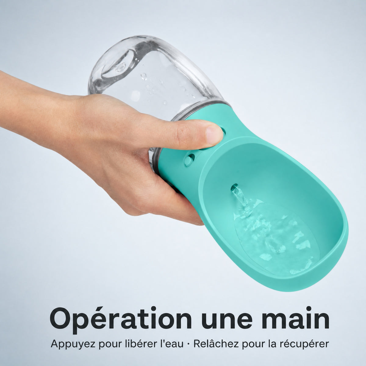 Gourde Portable Chien & Chat