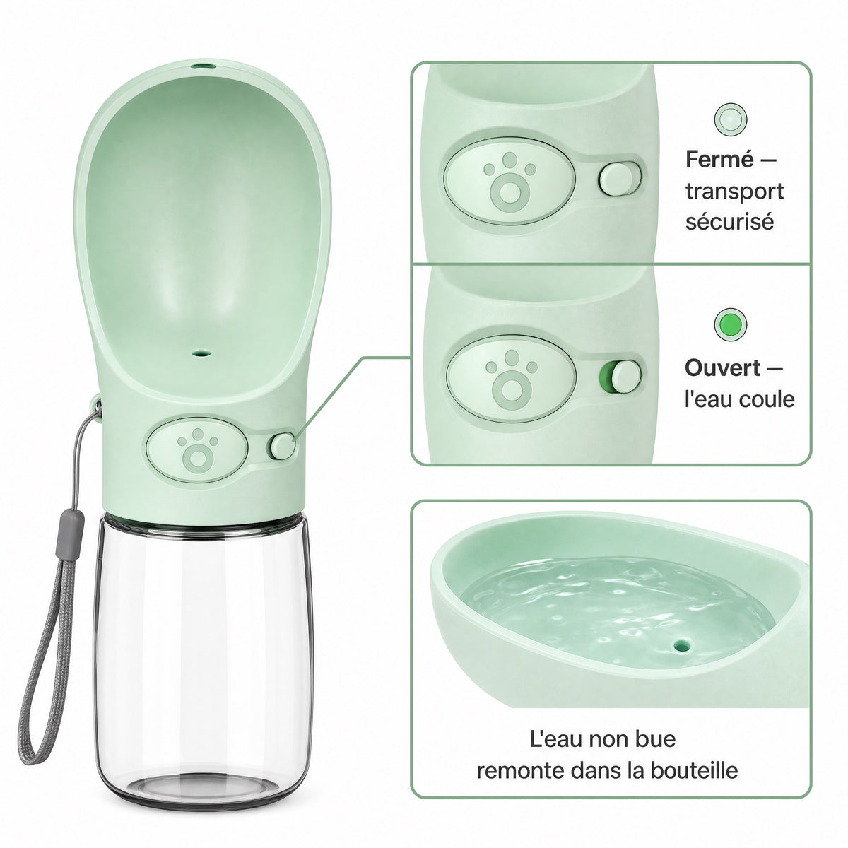 Gourde Portable Chien & Chat